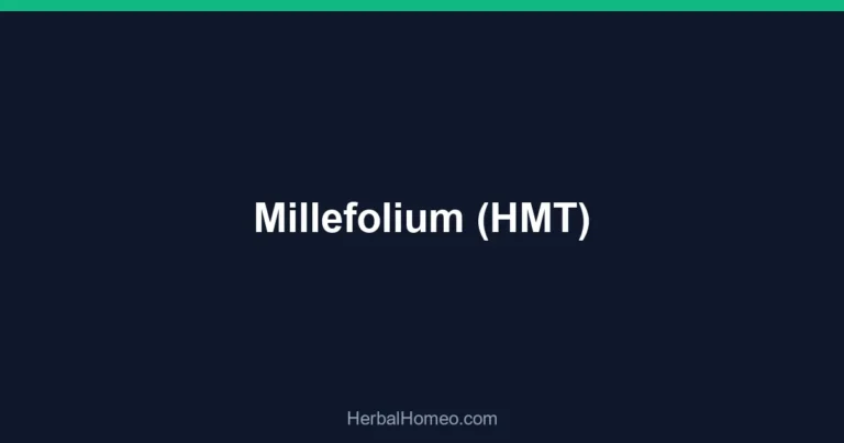 Millefolium (HMT)