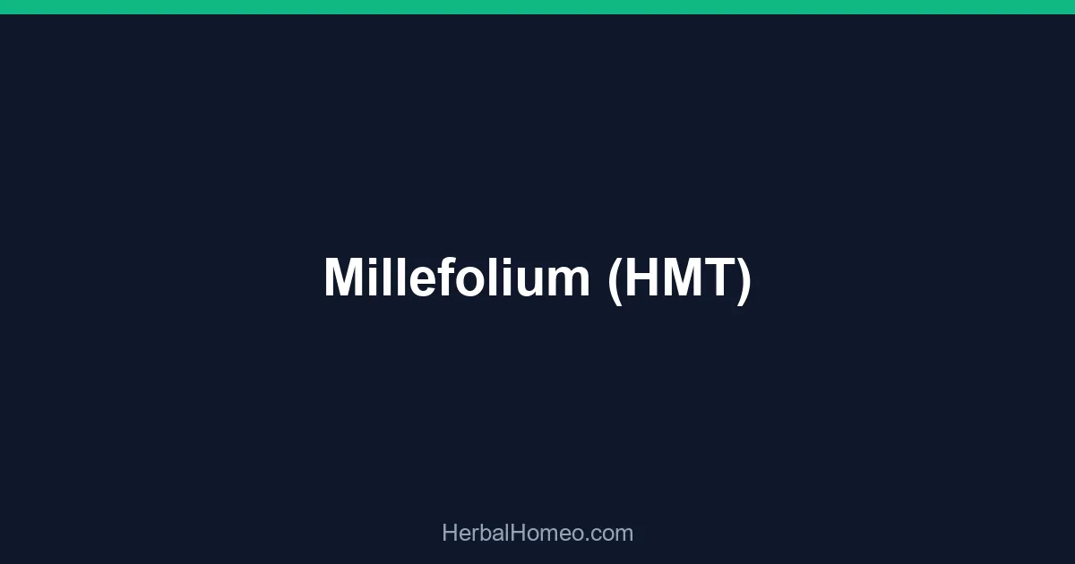 Millefolium (HMT)