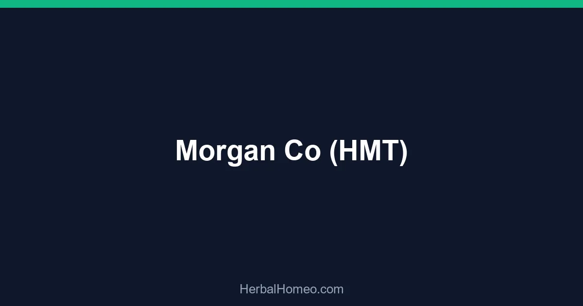 Morgan Co (HMT)