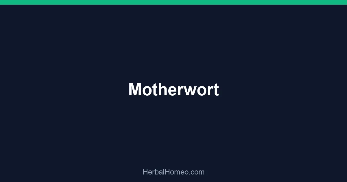 Motherwort