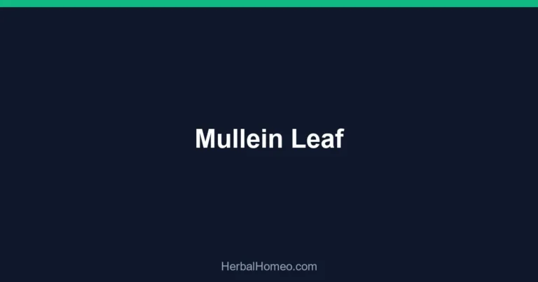 Mullein Leaf