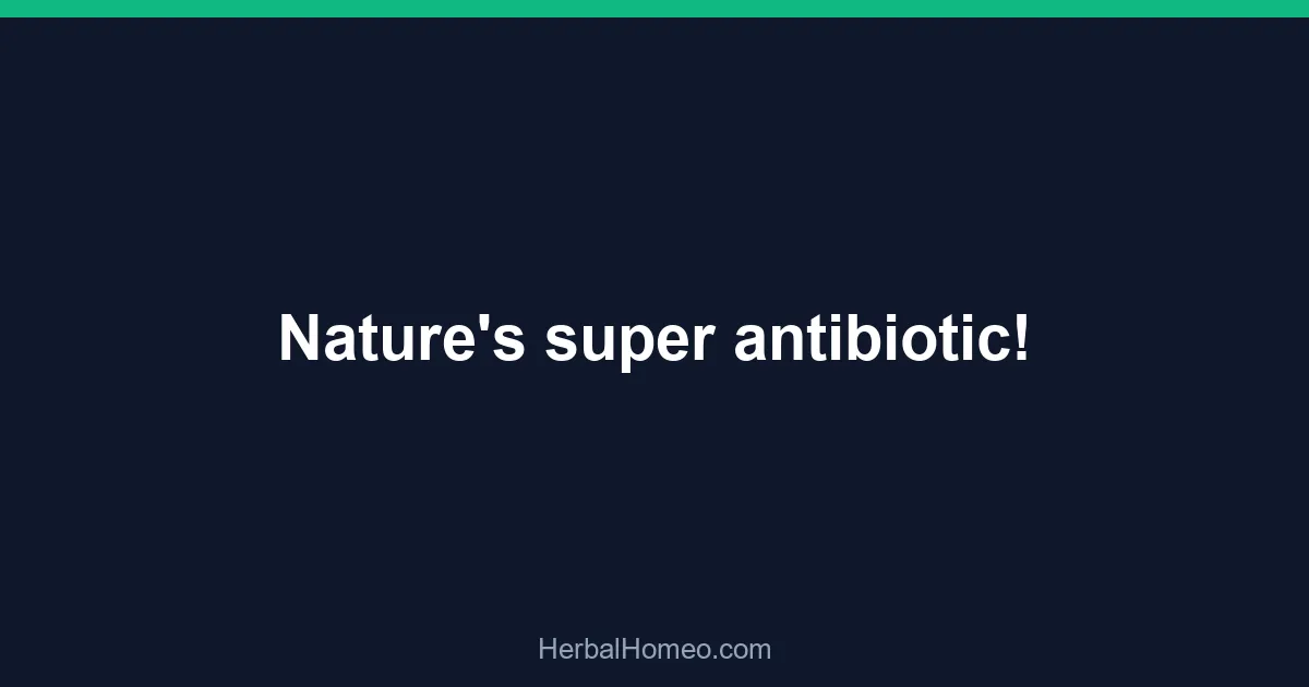 Nature’s super antibiotic!