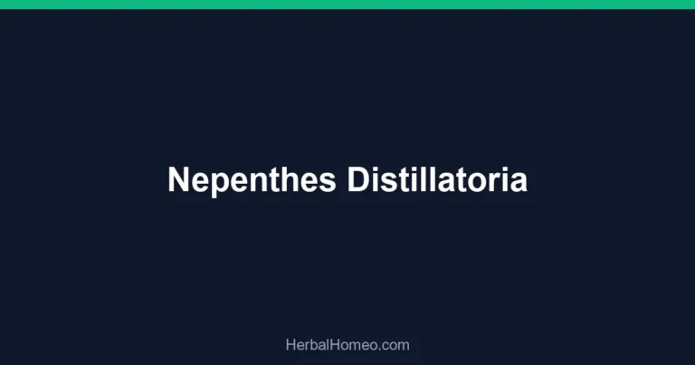 Nepenthes Distillatoria
