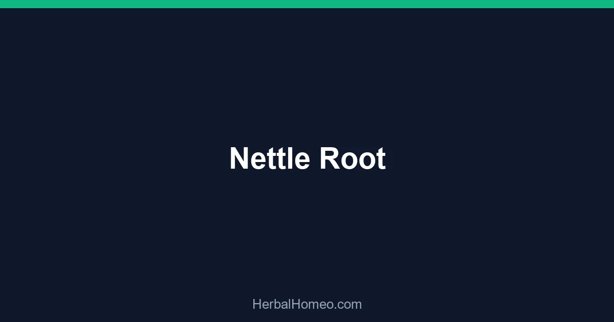 Nettle Root
