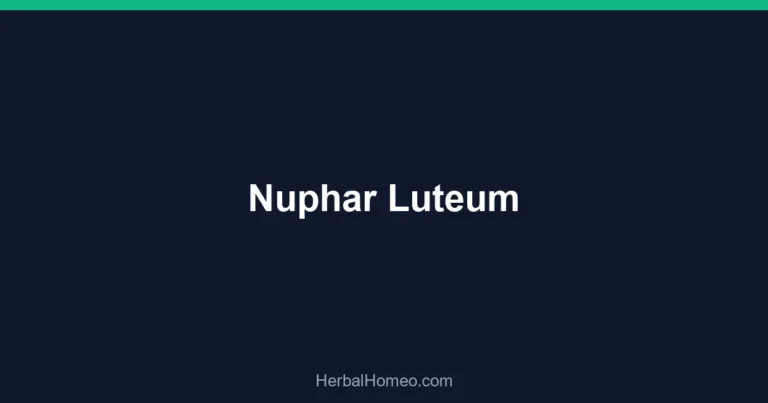Nuphar Luteum
