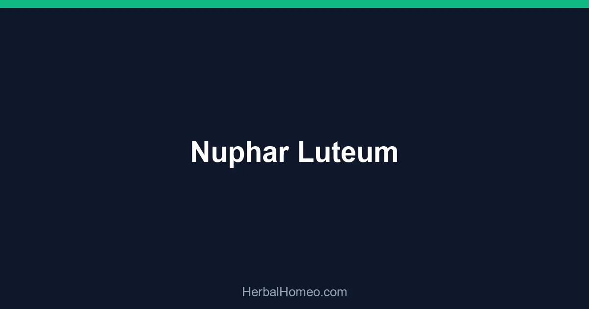 Nuphar Luteum
