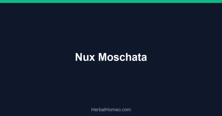 Nux Moschata