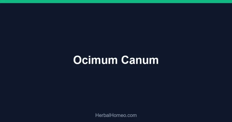 Ocimum Canum