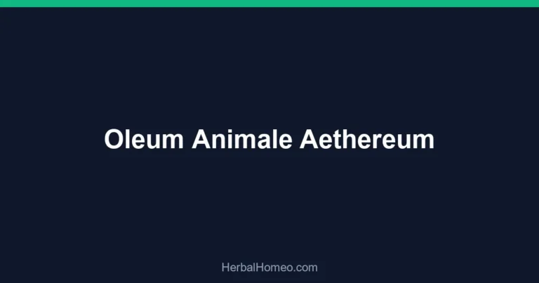 Oleum Animale Aethereum