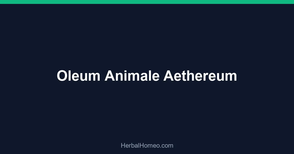 Oleum Animale Aethereum