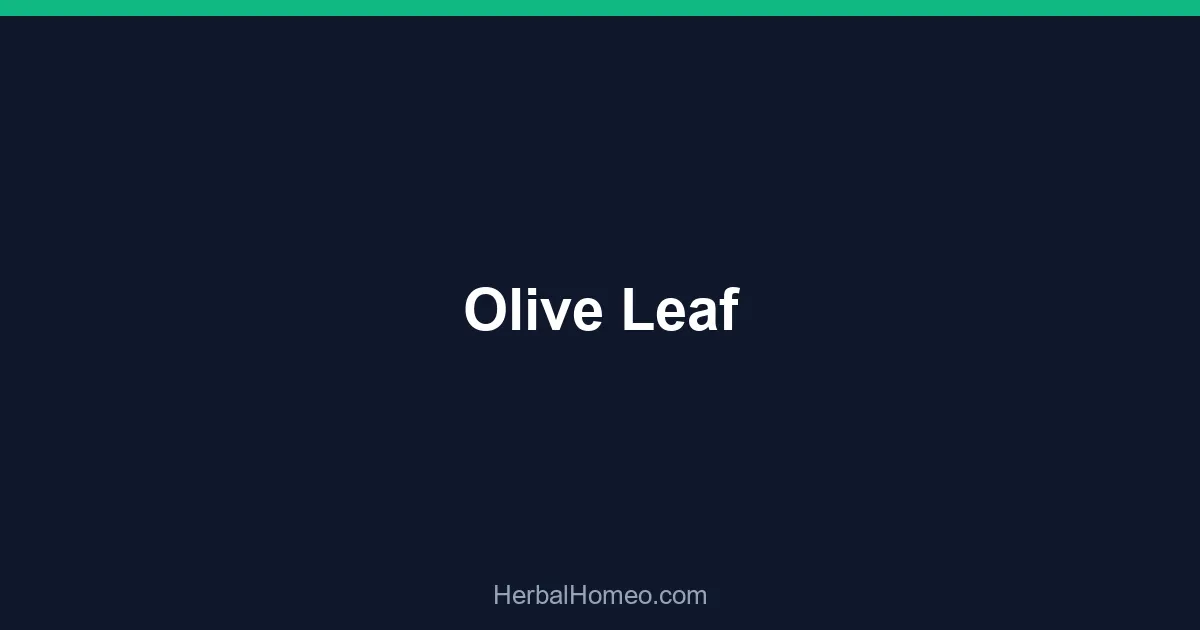 Olive Leaf