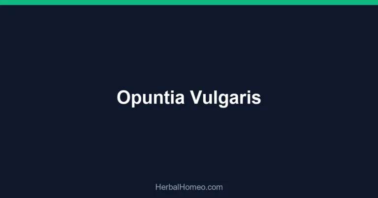 Opuntia Vulgaris
