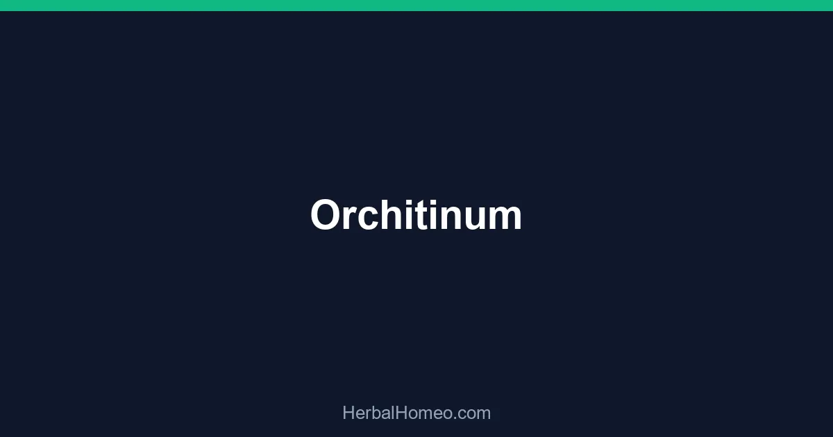 Orchitinum