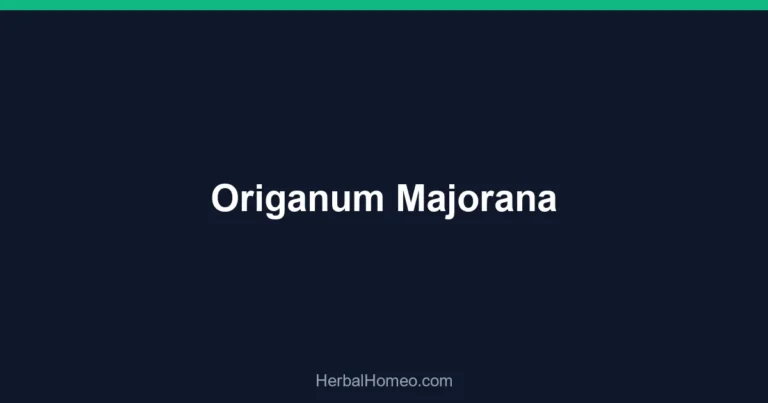 Origanum Majorana