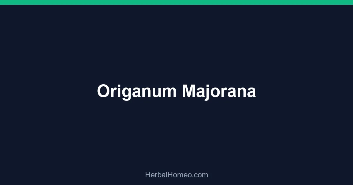 Origanum Majorana
