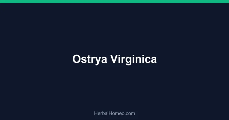 Ostrya Virginica