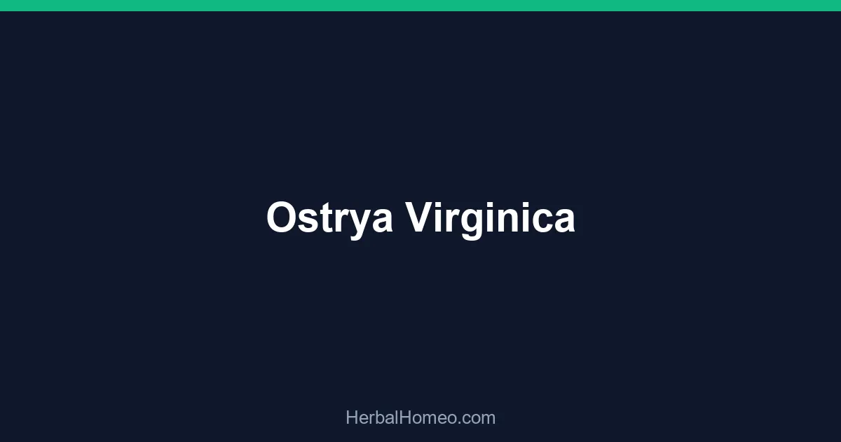 Ostrya Virginica