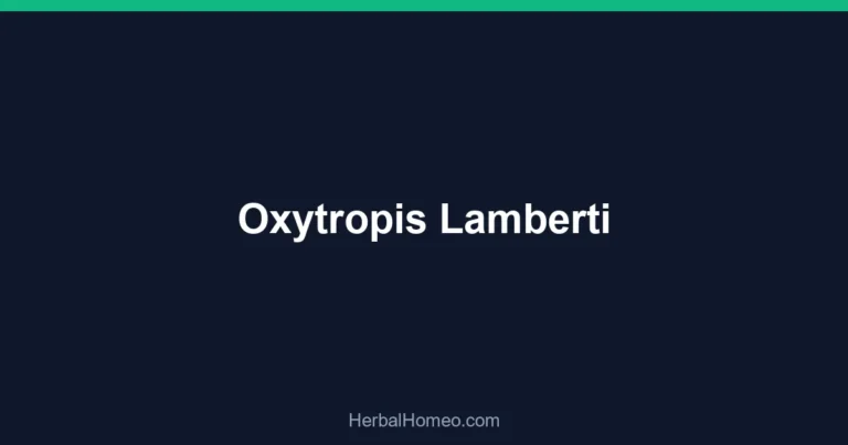 Oxytropis Lamberti