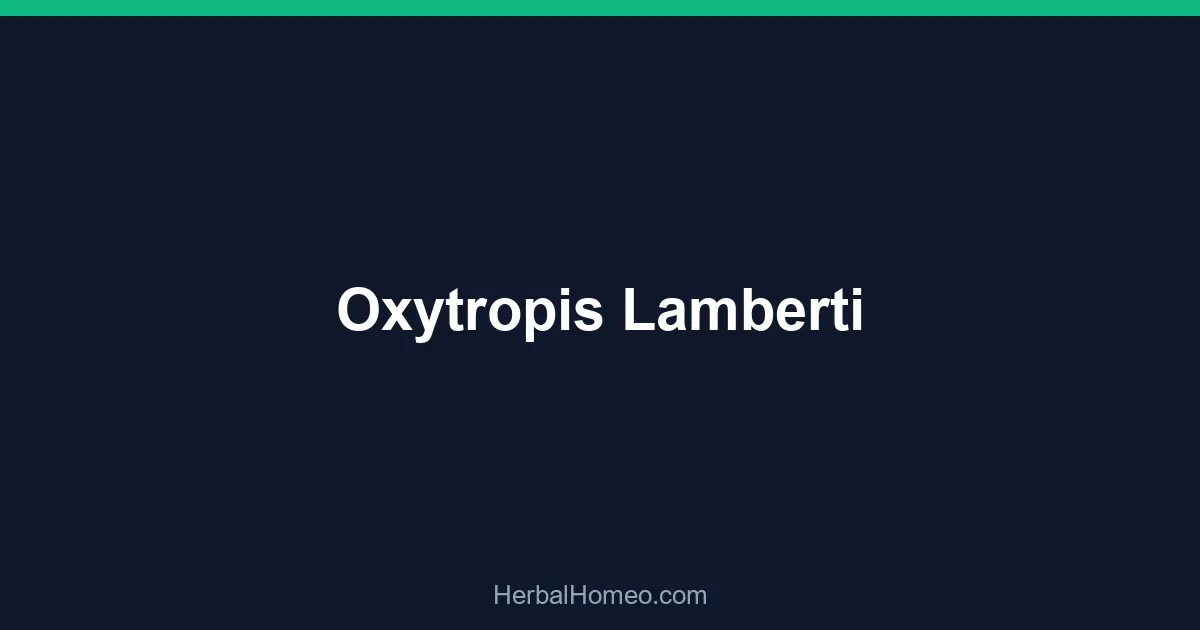 Oxytropis Lamberti