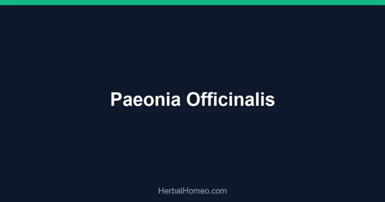 Paeonia Officinalis