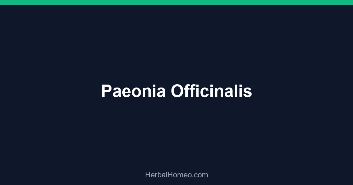 Paeonia Officinalis