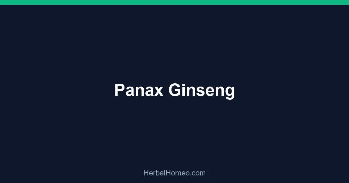 Panax Ginseng