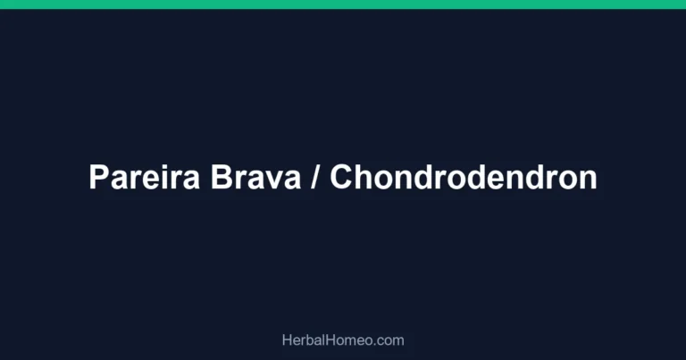 Pareira Brava / Chondrodendron