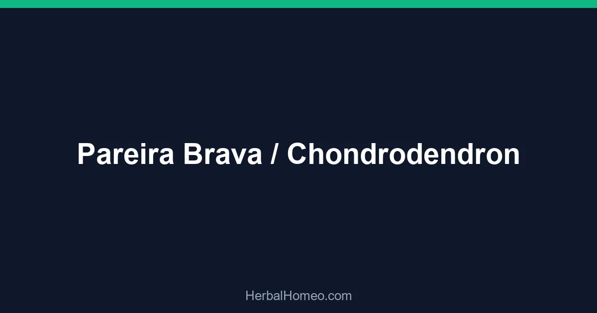 Pareira Brava / Chondrodendron