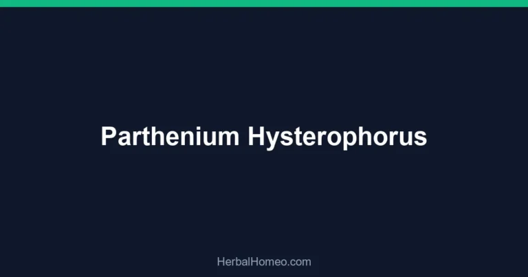 Parthenium Hysterophorus