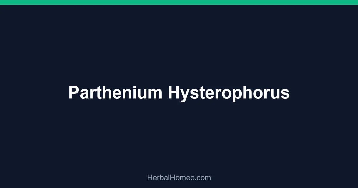 Parthenium Hysterophorus