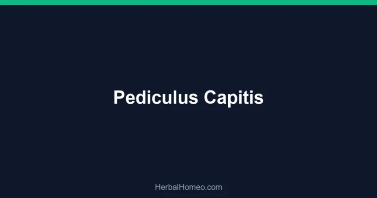 Pediculus Capitis