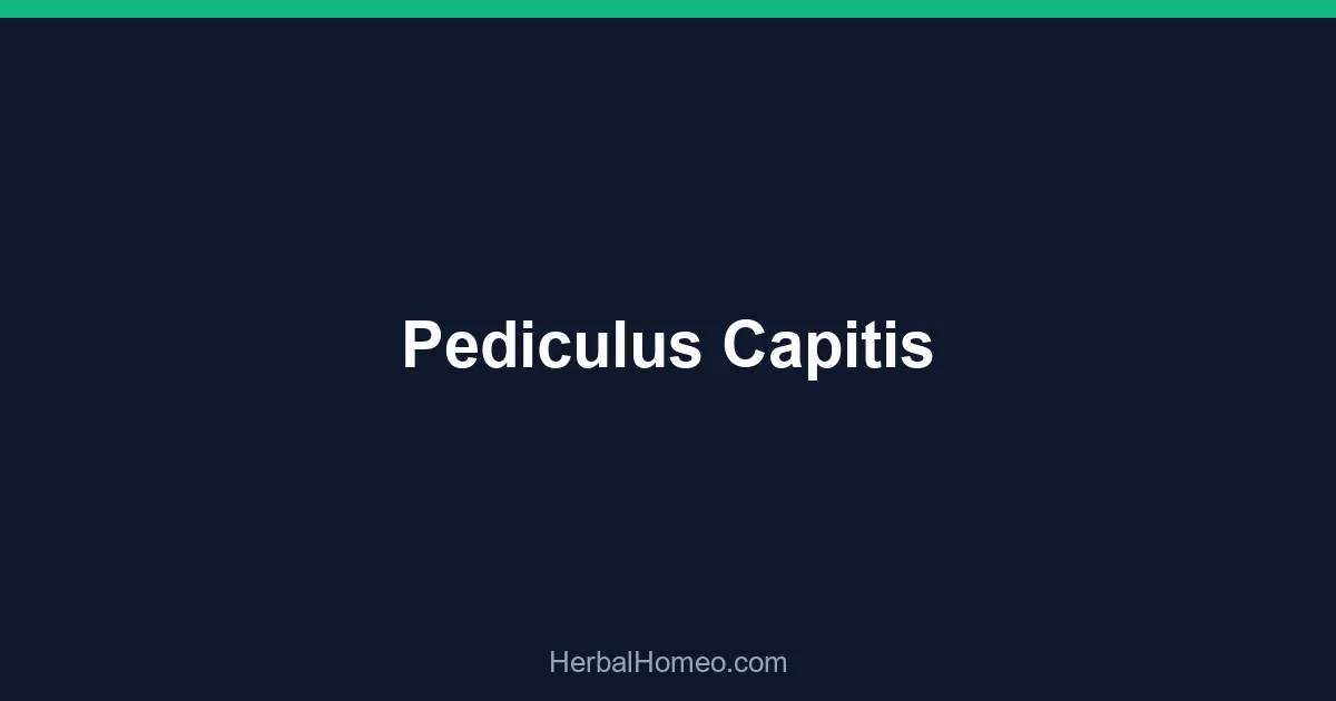 Pediculus Capitis