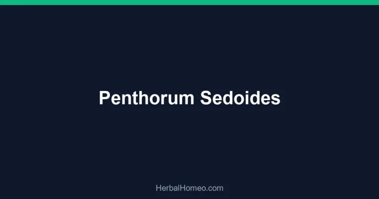 Penthorum Sedoides