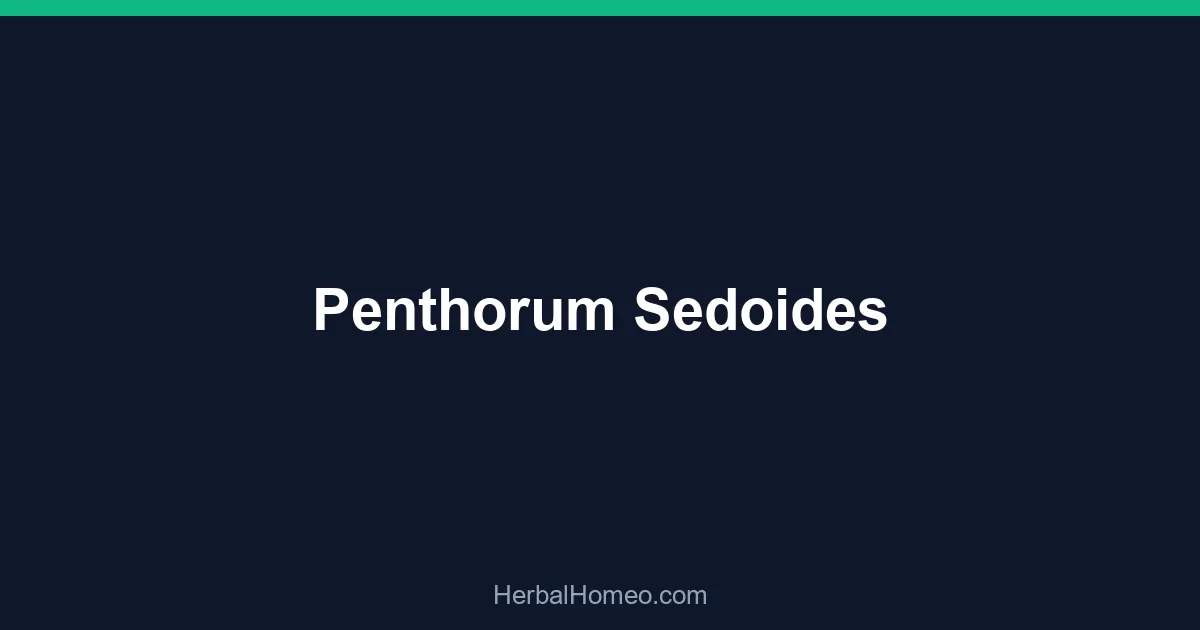 Penthorum Sedoides
