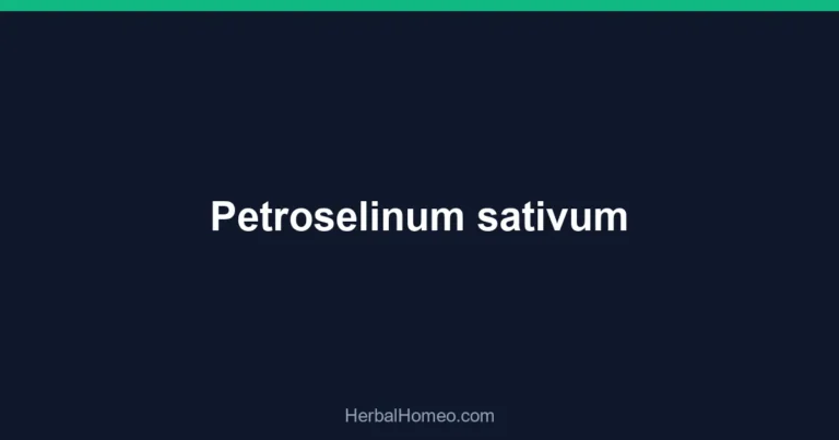 Petroselinum sativum
