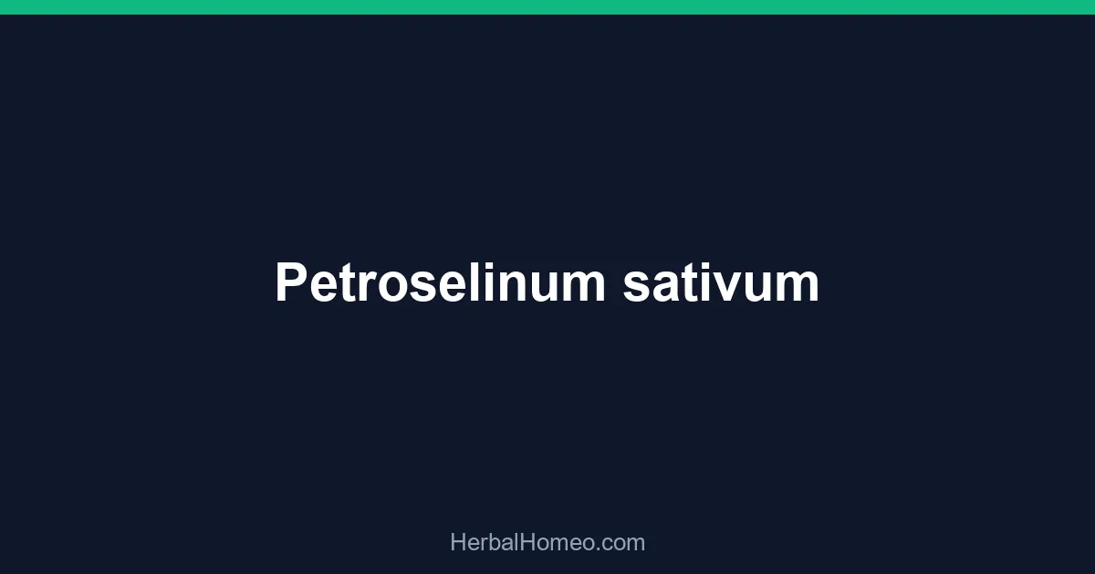 Petroselinum sativum