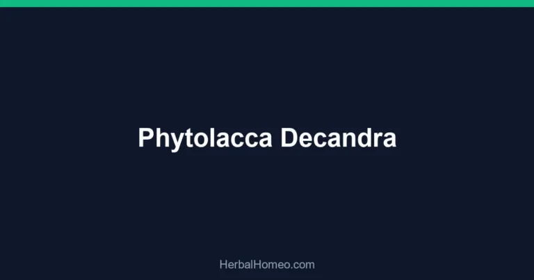 Phytolacca Decandra