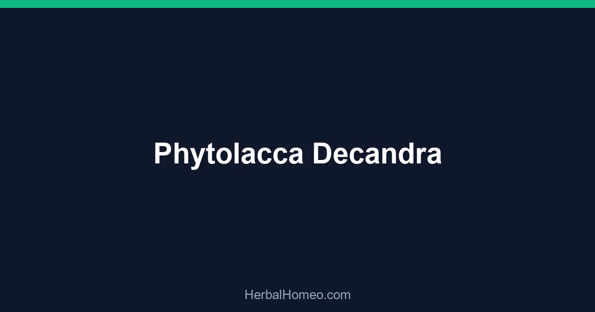 Phytolacca Decandra