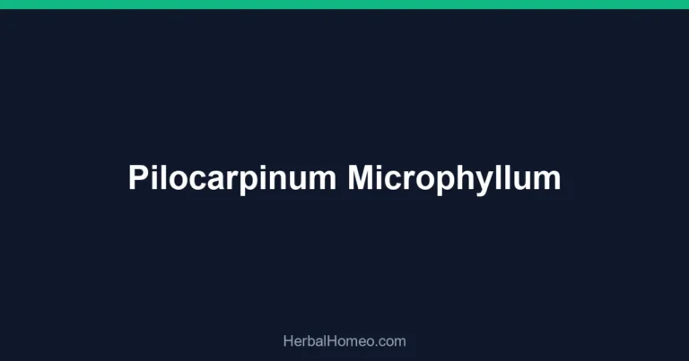 Pilocarpinum Microphyllum