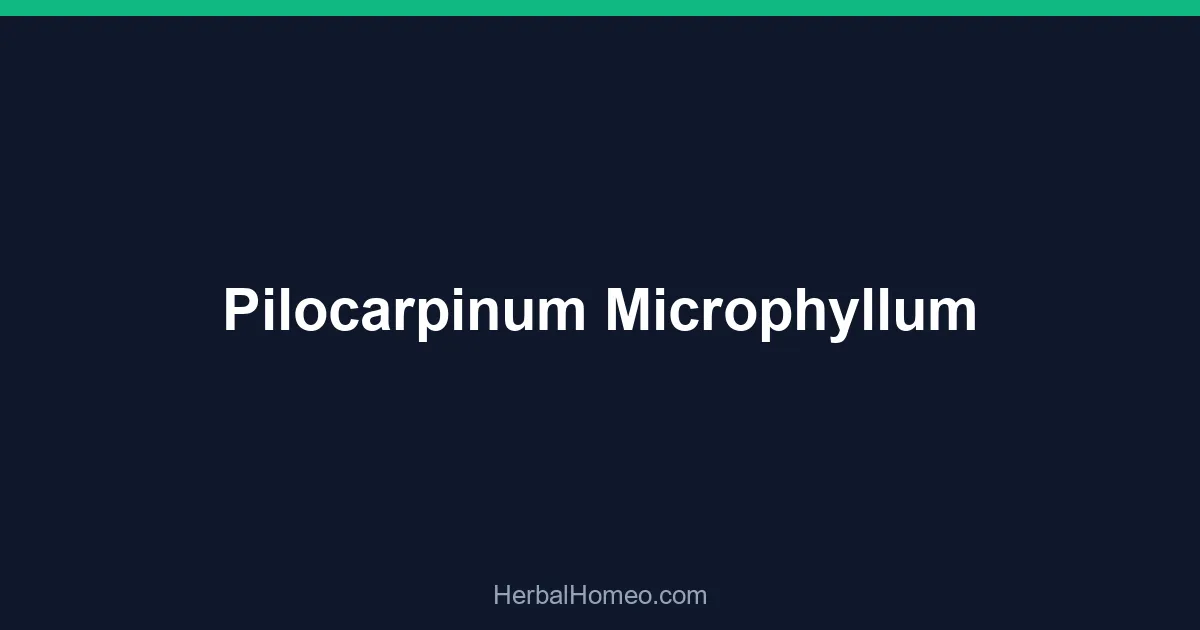 Pilocarpinum Microphyllum