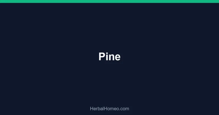 Pine