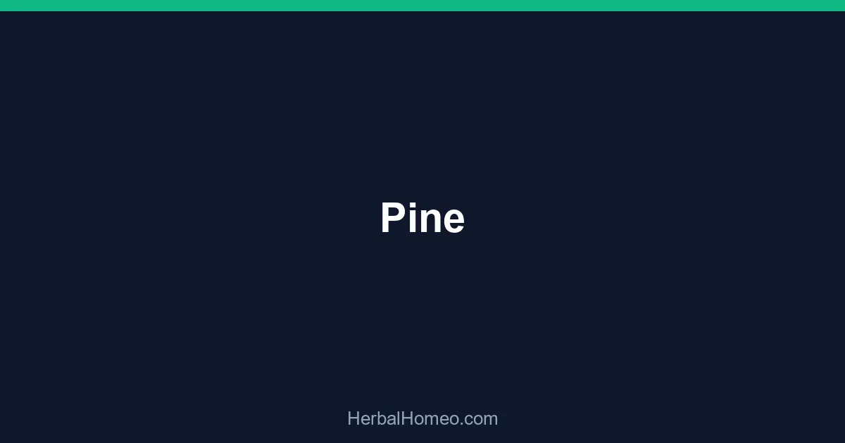 Pine