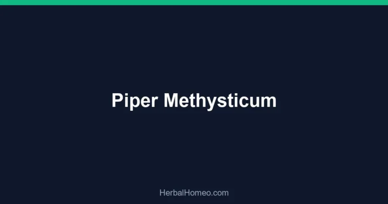 Piper Methysticum