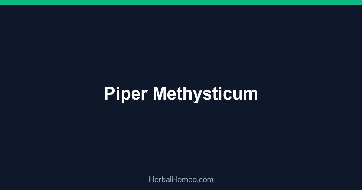 Piper Methysticum