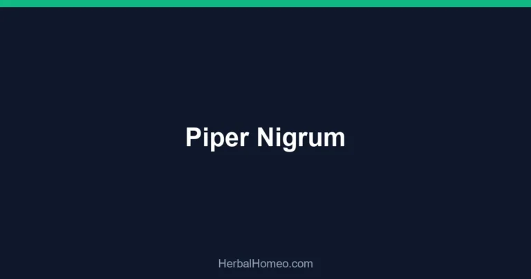Piper Nigrum