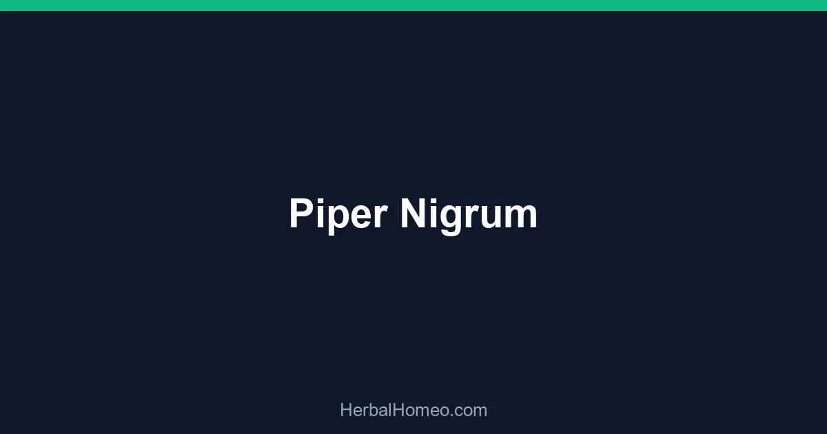 Piper Nigrum
