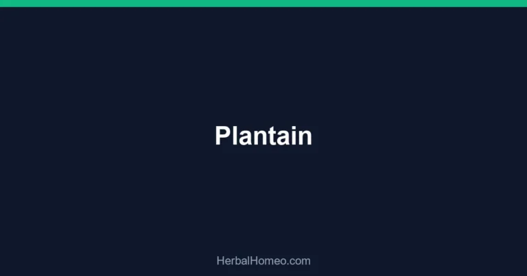 Plantain