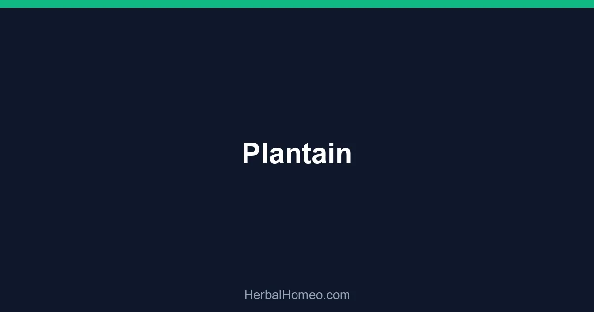 Plantain