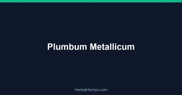 Plumbum Metallicum