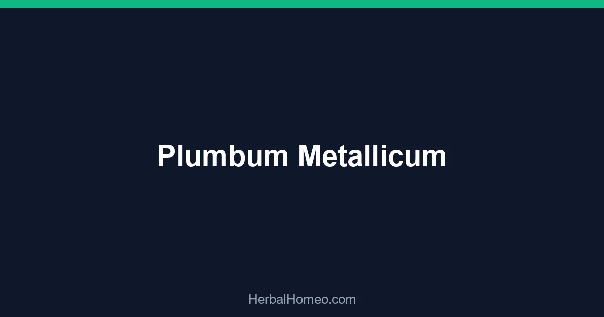 Plumbum Metallicum